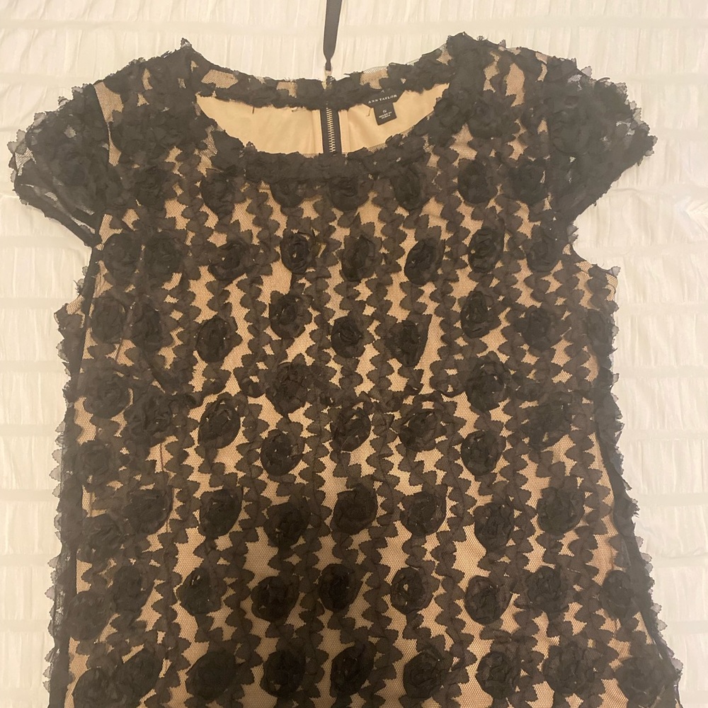 Ann Taylor Top